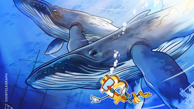 Bitcoin whales still 'hibernating' as BTC price nears $21K Bitcoin whales still 'hibernating' as BTC price nears $21K
