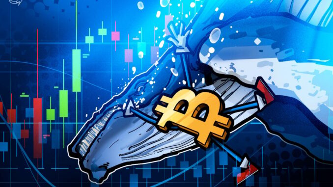 $11B Bitcoin Whale Shorts Bitcoin for $235M, Nets $200M In $11B Bitcoin Whale Shorts Bitcoin for $235M, Nets $200M In Market Crash