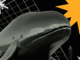3 Hidden Whale Trends You Missed After the October Crash