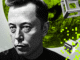 Elon Musk Just Said Something About Bitcoin